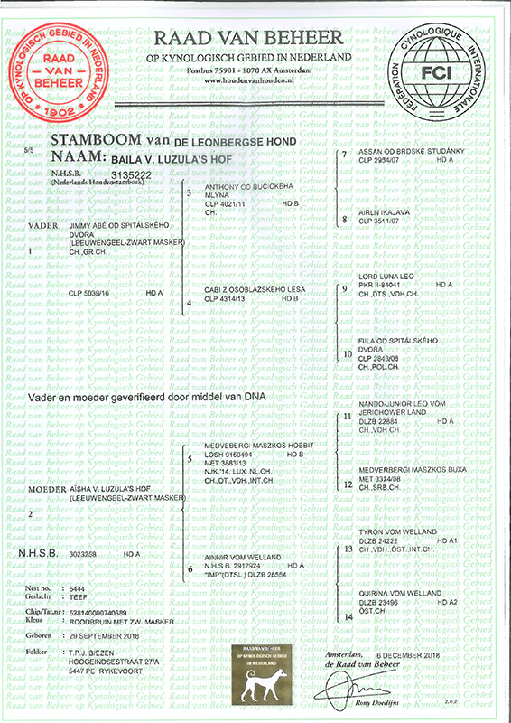 Stamboom Baila van Luzula's Hof