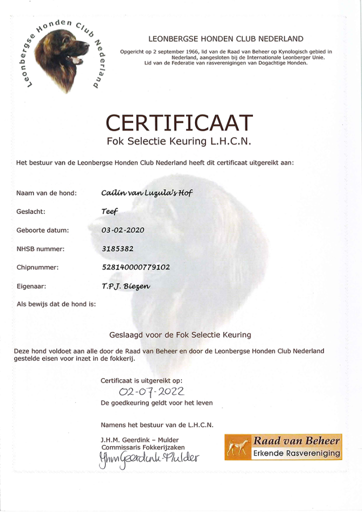 certificaat fokselectie Cailin v Luzula's Hof
